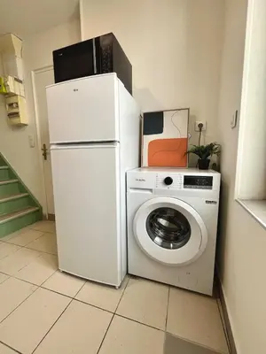 Cuisine ou kitchenette dans l'établissement Duplex rénové à 15 min de Lyon