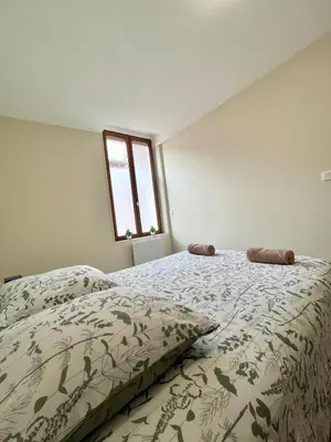 Un ou plusieurs lits dans un hébergement de l'établissement Duplex rénové à 15 min de Lyon