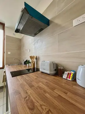 Cuisine ou kitchenette dans l'établissement Duplex rénové à 15 min de Lyon