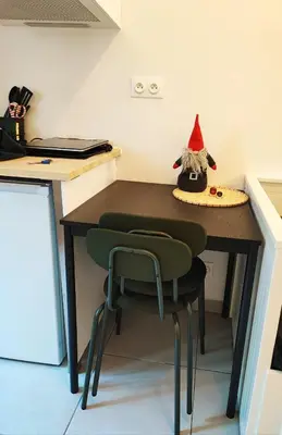 Cuisine ou kitchenette dans l'établissement Cosy studio 14m2 centre-ville
