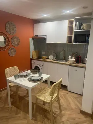 Cuisine ou kitchenette dans l'établissement Croix Rousse