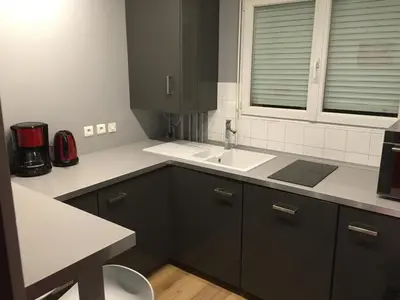 Cuisine ou kitchenette dans l'établissement Apartment Villeurbanne
