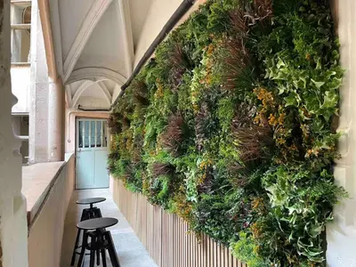 Jardin de l'établissement Rue Mercière, Terrasse, Hypercentre, Lyon