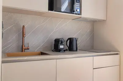 Cuisine ou kitchenette dans l'établissement Studio avec terrasse aux portes de Lyon, Ecully