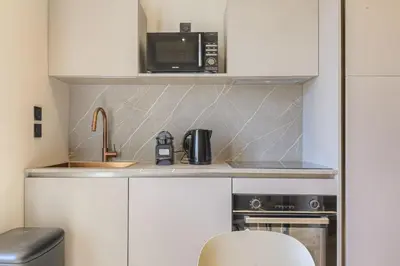 Cuisine ou kitchenette dans l'établissement Superbe appartement lumineux proche de Lyon