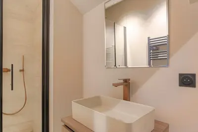 Salle de bains dans l'établissement Superbe appartement lumineux proche de Lyon