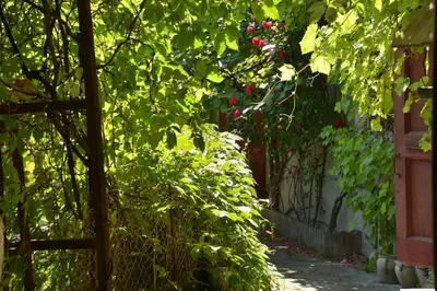 Jardin de l'établissement La Maison De Marthe