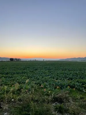 Paysage naturel près de la maison de vacances
