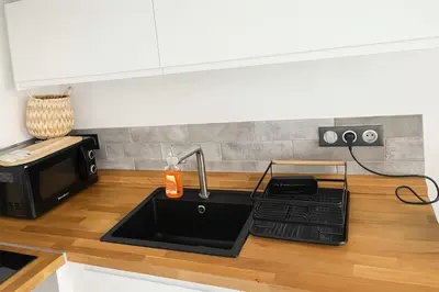 Cuisine ou kitchenette dans l'établissement Authentic charm Quartier Burdeau Lyon 1st
