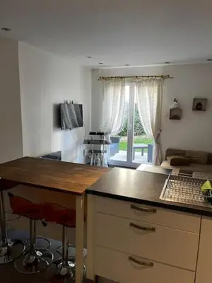 Cuisine ou kitchenette dans l'établissement Villeurbanne Super Apartment in residence