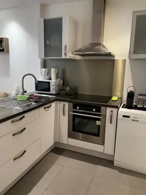 Cuisine ou kitchenette dans l'établissement Villeurbanne Super Apartment in residence