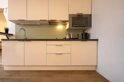 Cuisine ou kitchenette dans l'établissement Charming studio at the foot of the Opera-Le Petit Pradel