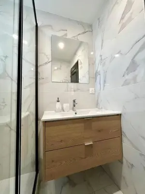 Salle de bains dans l'établissement T3 rénové à 15 min de Lyon