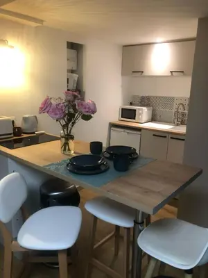 Cuisine ou kitchenette dans l'établissement Studio Le Bon Coin
