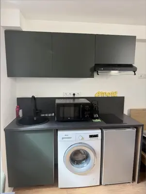 Cuisine ou kitchenette dans l'établissement Le Jungle