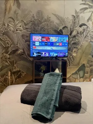 Télévision ou salle de divertissement dans l'établissement Le Jungle