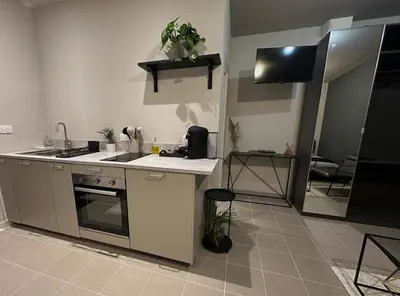 Cuisine ou kitchenette dans l'établissement Grand studio