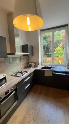 Cuisine ou kitchenette dans l'établissement Le Cosy Tête d Or Cité Internationale
