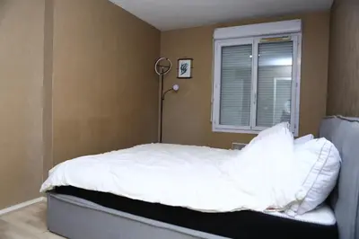 Un ou plusieurs lits dans un hébergement de l'établissement Appartement T2 Confortable à Lyon