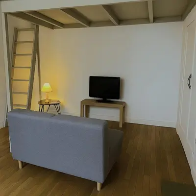Télévision ou salle de divertissement dans l'établissement Charming studio for 2 Quartier Terreaux Croix-Rousse