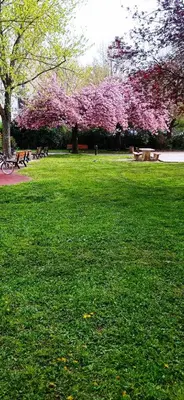 Jardin de l'établissement Spacieux Duplex à Villeurbanne 6 Pers Tout Comfort