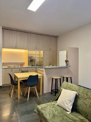 Cuisine ou kitchenette dans l'établissement Appartement à Vienne