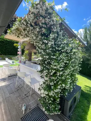 Jardin de l'établissement Villa familiale à 20 mn de Lyon
