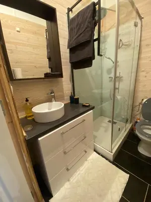 Salle de bains dans l'établissement Duplex cosy-Wifi-Parking-Netflix-Lyon 9