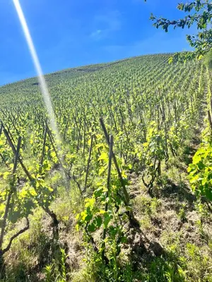 Paysage naturel près de l'appartement