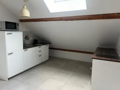 Cuisine ou kitchenette dans l'établissement Appartement Ampuis Villa Monplaisir