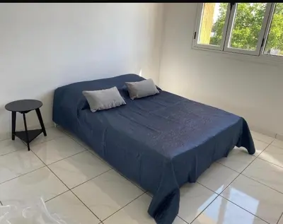 Un ou plusieurs lits dans un hébergement de l'établissement Joli appartement limite Lyon 8, tram T4