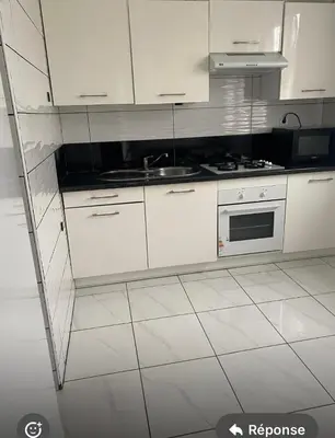 Cuisine ou kitchenette dans l'établissement Joli appartement limite Lyon 8, tram T4