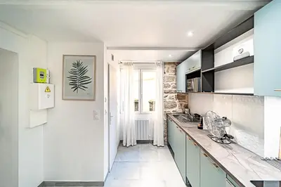 Cuisine ou kitchenette dans l'établissement Cocon moderne Émile Zola