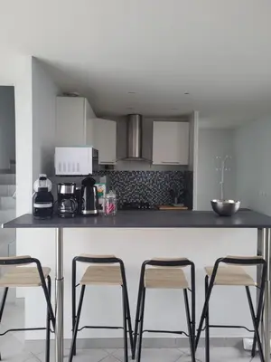 Cuisine ou kitchenette dans l'établissement Duplex avec Parking