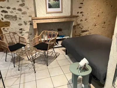 Coin salon dans l'établissement Studio Vienne centre historique