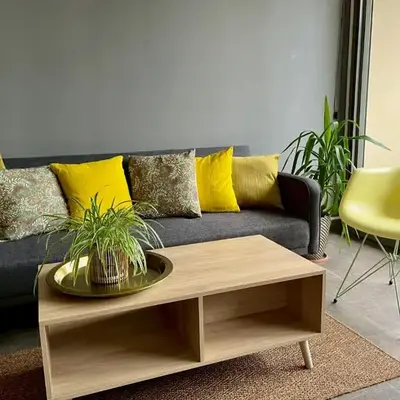 One Bedroom Apartment Centre Lyon Free Private Parking