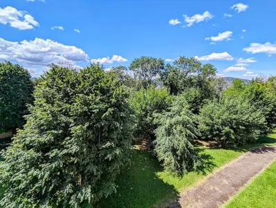 Jardin de l'établissement T2 au calme, balcon, proche métro, parking gratuit