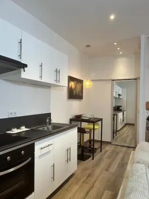 Cuisine ou kitchenette dans l'établissement Loft au cœur de Tarare