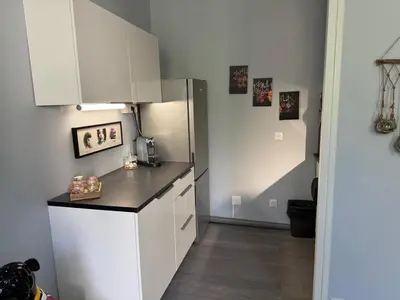 Cuisine ou kitchenette dans l'établissement Appartement dans le Beaujolais