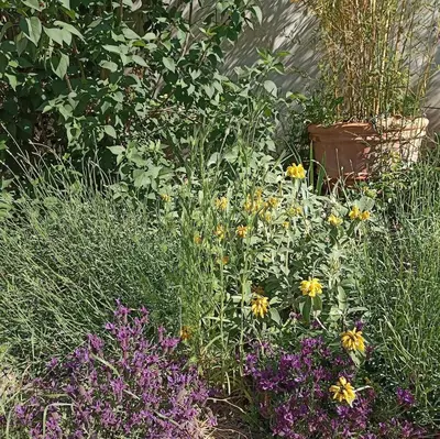 Jardin de l'établissement Le Jardin du couvent