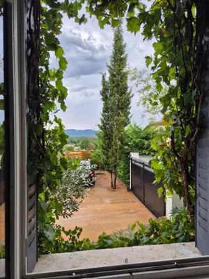 Jardin de l'établissement L'Olivier Studio Cosy & Calme Idéal Duo ou Pro