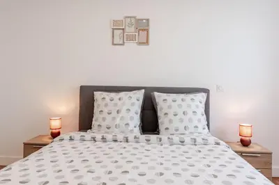 Plan de l'établissement Sublime Appartement Villeurbanne