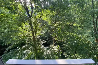 Jardin de l'établissement Apartment in the city - exceptional view