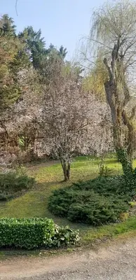 Jardin de l'établissement Maison de campagne meublé du tourisme classé 2 étoiles ,jardin, parking