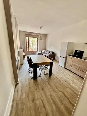 Cuisine ou kitchenette dans l'établissement Beautiful Renovated Apartment, Internet, Tram