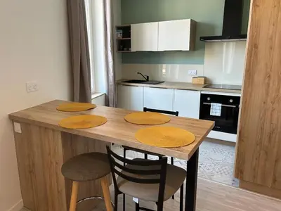 Cuisine ou kitchenette dans l'établissement Studio indépendant climatisé à Lyon 8