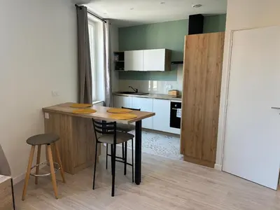 Cuisine ou kitchenette dans l'établissement Studio indépendant climatisé à Lyon 8