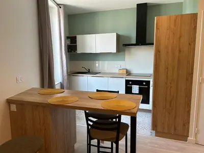 Cuisine ou kitchenette dans l'établissement Studio indépendant climatisé à Lyon 8