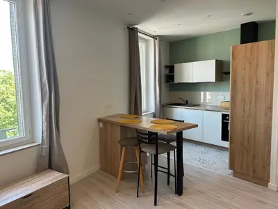 Cuisine ou kitchenette dans l'établissement Studio indépendant climatisé à Lyon 8