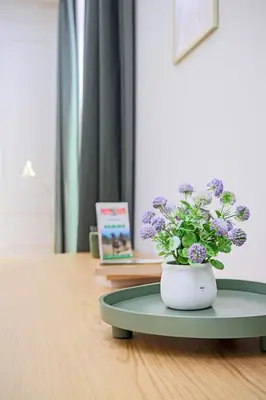 Plan de l'établissement Studio cosy et pratique, proche métro, par de la tête d'or